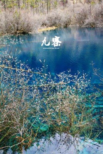 崔显仁:双手残疾却苦练书法,从乞丐到千万富翁,他用了10年